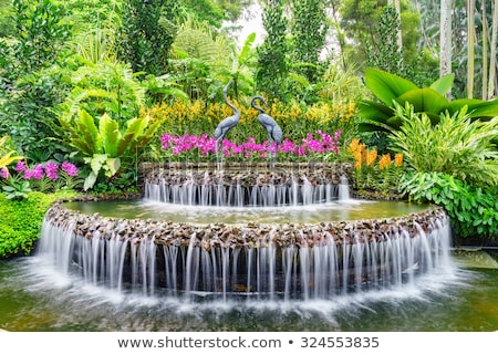 Foto d'archivio: Fountain In Botanical Garden