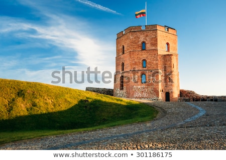 Stock photo: Tower Of Gediminas