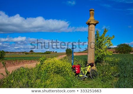 Stok fotoğraf: Azofra Saint James Way Cross Column La Rioja