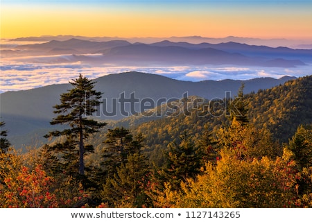 Foto d'archivio: Clingmans Dome - Great Smoky Mountains National Park