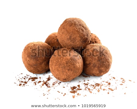 Stock photo: Cocoa Dusted Chocolate Truffle