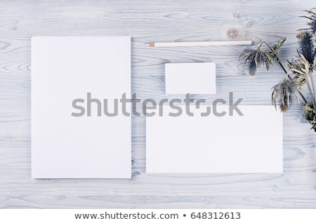 Stok fotoğraf: Corporate Identity Template Stationery With Dry Flower On Soft Light Blue Wooden Board Mock Up For