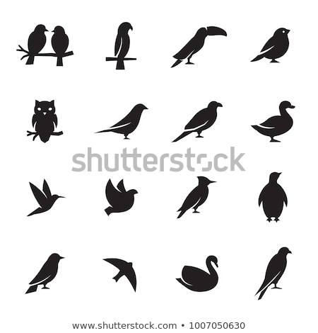 [[stock_photo]]: Birds Icons