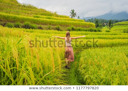 Foto stock: Young Woman Traveler On Beautiful Jatiluwih Rice Terraces Against The Background Of Famous Volcanoes