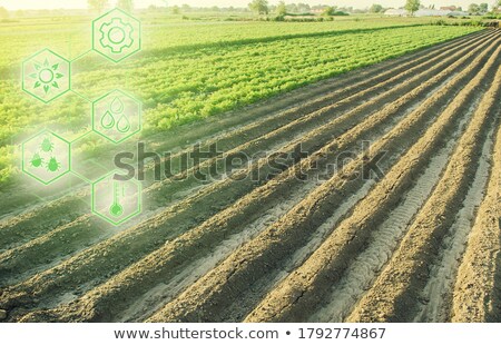 Stock fotó: Landscape Of A Farm Plantation Field And Hexagons With Innovations Science Of Agronomy Improvement