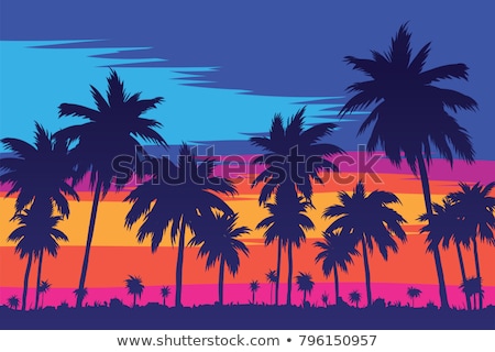 Stock fotó: Vector Illustration Of A Tropical Sunset And Palm Trees