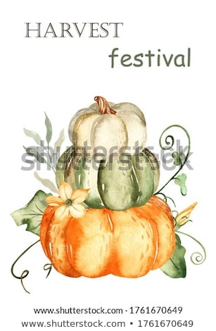 Stock photo: Harvest Of Pumpkins