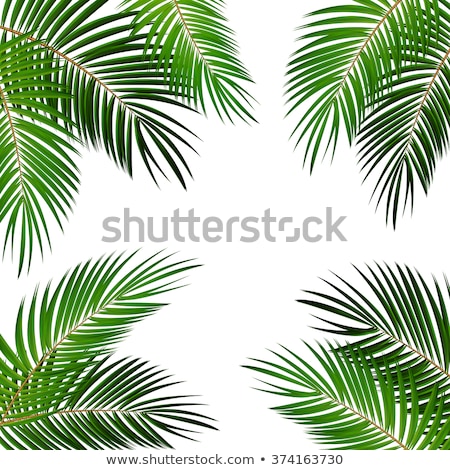 Stok fotoğraf: Tropical Island With Coconut Palm Trees