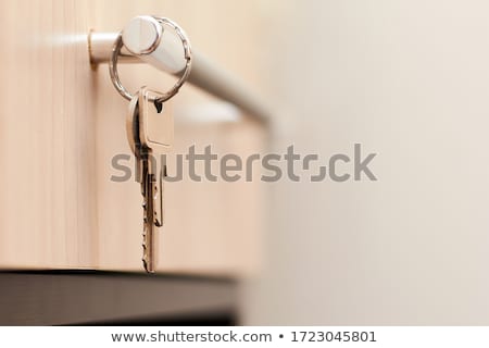 Stock photo: Secure Lock Concept