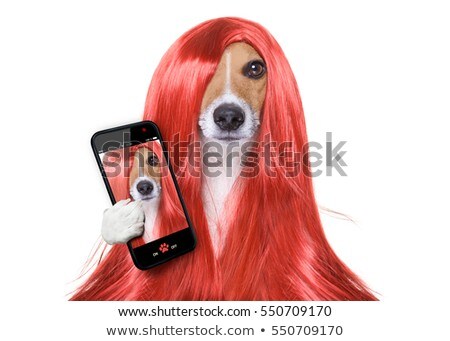 [[stock_photo]]: Wig Selfie Dog