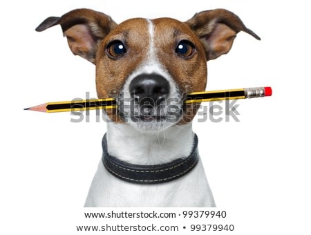 Stock photo: Dog With Pencil And Eraser