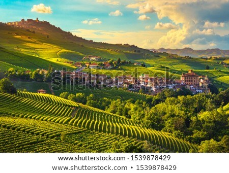 Foto stock: Langhe Vineards And Villages