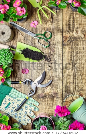 Stock photo: Gardening Tools And Flowers On Old Wooden Table In Garden