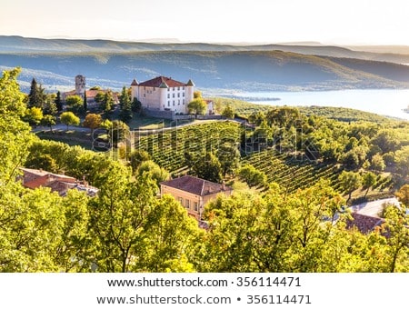 Foto d'archivio: Vineyard In France