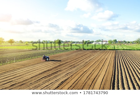 Foto d'archivio: Farmer On A Tractor Cultivates Land After Harvesting Development Of Agricultural Technologies Grin
