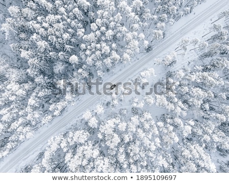 Stock photo: Road