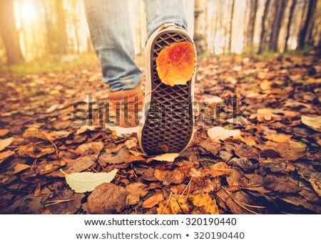 Stock foto: Boots On A Background Of A Autumn Leaves