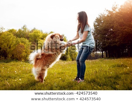 Stock photo: Dog And Owner On Summer Vacation