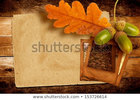 Zdjęcia stock: Old Grunge Paper Slide With Autumn Oak Leaves On The Abstract B
