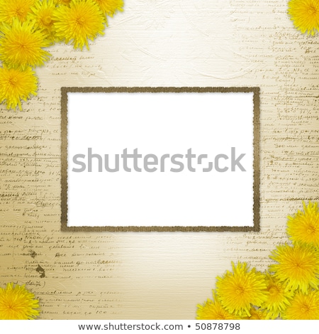 Foto d'archivio: Writing Abstract Background With Bunch Of Dandelions
