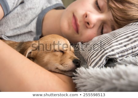 Foto stock: Young Boy With His Toy Animals