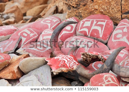 Foto stock: Tibetan Prayer Mani Rocks And Yak Horns