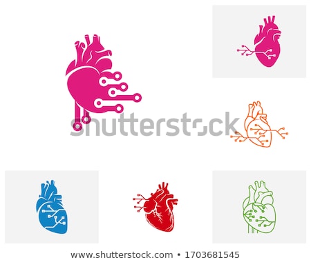 Stockfoto: Digital Illustration Of Human Heart