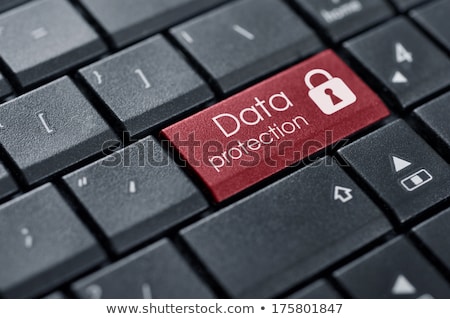 Stock foto: Data Encryption On Red Keyboard Button