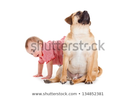 Сток-фото: Little Girl With The Big Dog Baby Girl And Her Best Friend