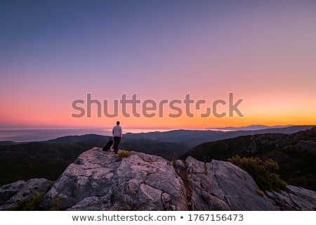 Foto stock: Border Collie Dog On Rocky Outcrop In Corsica