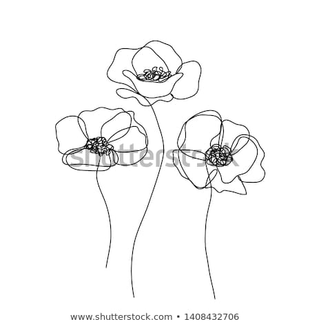 Foto stock: Flowers Line Drawings