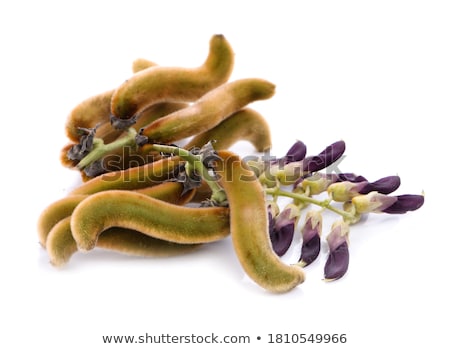 ストックフォト: Mucuna Pruriens Isolated On White Background