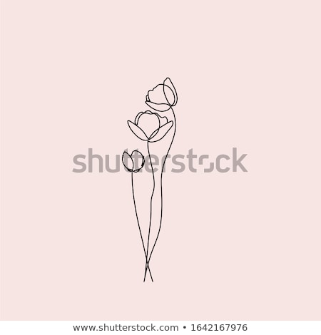 Stockfoto: Stylized Flower Background Concept Vector Illustration Design