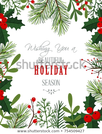 Foto stock: Christmas Frame With Pine Branches And Mistletoe