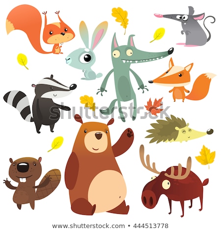 Stockfoto: Big Set Of Forest Woodland Animals Isolated Vector Illustration