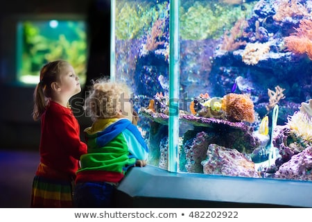 Stock fotó: Little Boy And Girl Watching Tropical Coral Fish In Large Sea Life Tank Kids At The Zoo Aquarium