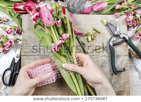 Foto stock: A Tulip Pink And Red Flower In Home Decor