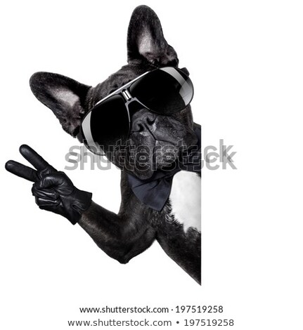 Stock photo: Victory Peace Fingers Dog