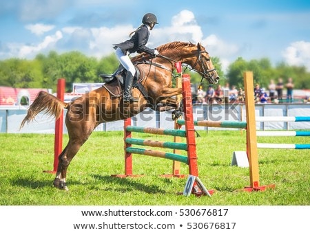 Female Jockey Riding Сток-фото © olgaru79