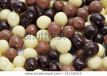 Algunos dulces de chocolate diferentes Foto stock © nito