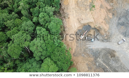Stock fotó: Deforestation