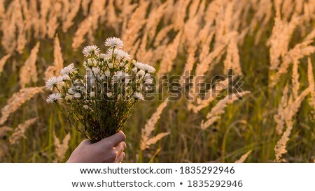 Stok fotoğraf: Young Girl With Bouquet Of Flowers