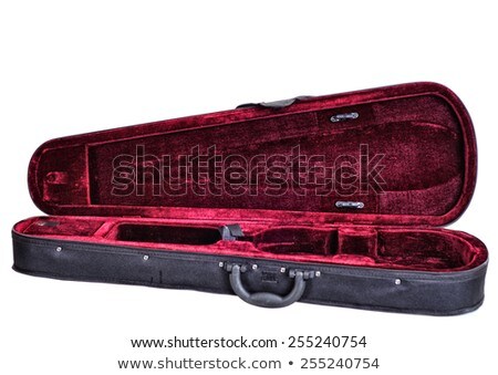 Stock photo: Fiddle Case And Violin