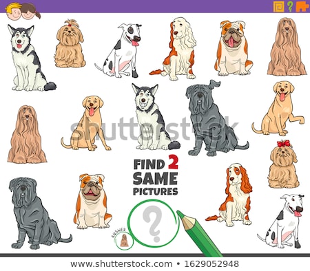 Foto stock: Find Two Same Dog Characters Game For Kids