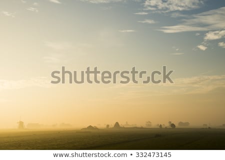 Stockfoto: Two Wind Mill And Cows Streefkerk