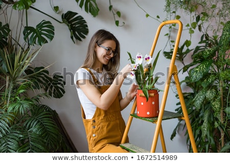 Stock fotó: Female Florist Caring For Plants