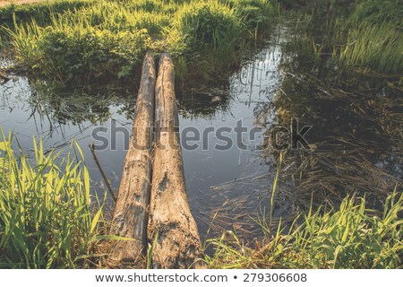 Zdjęcia stock: Log Bridge In Fall