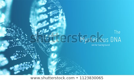 Stok fotoğraf: Chromosome In Digital Background