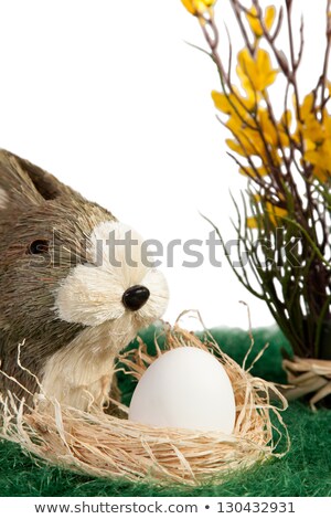 Сток-фото: Plain Undecorated Easter Eggs In A Nest