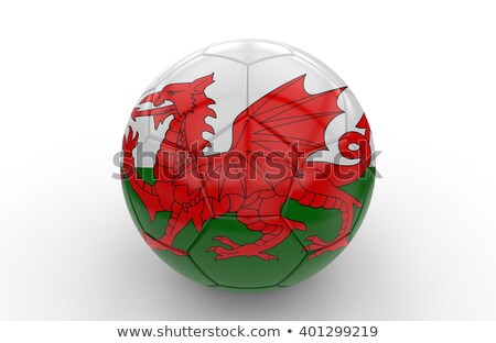 Welsh Football Stockfoto © cla78